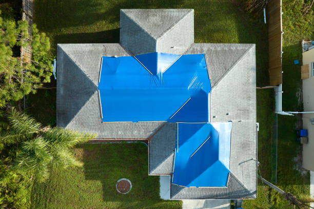 Best Roof Ventilation Installation  in Montrose, MN