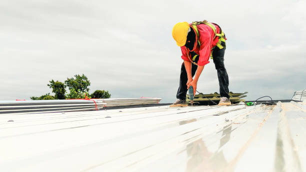  Montrose, MN Roofing Service Pros