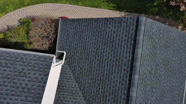 Best Roof Leak Repair  in Montrose, MN
