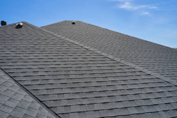 Best Roof Ventilation Installation  in Montrose, MN